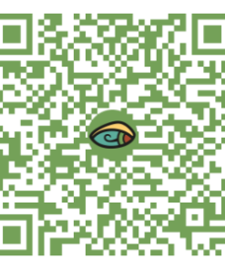 Archivo DIOT 2025 carga BATCH actualizandome.com – Incluye DIOT 2024 años anteriores y la versión 2025